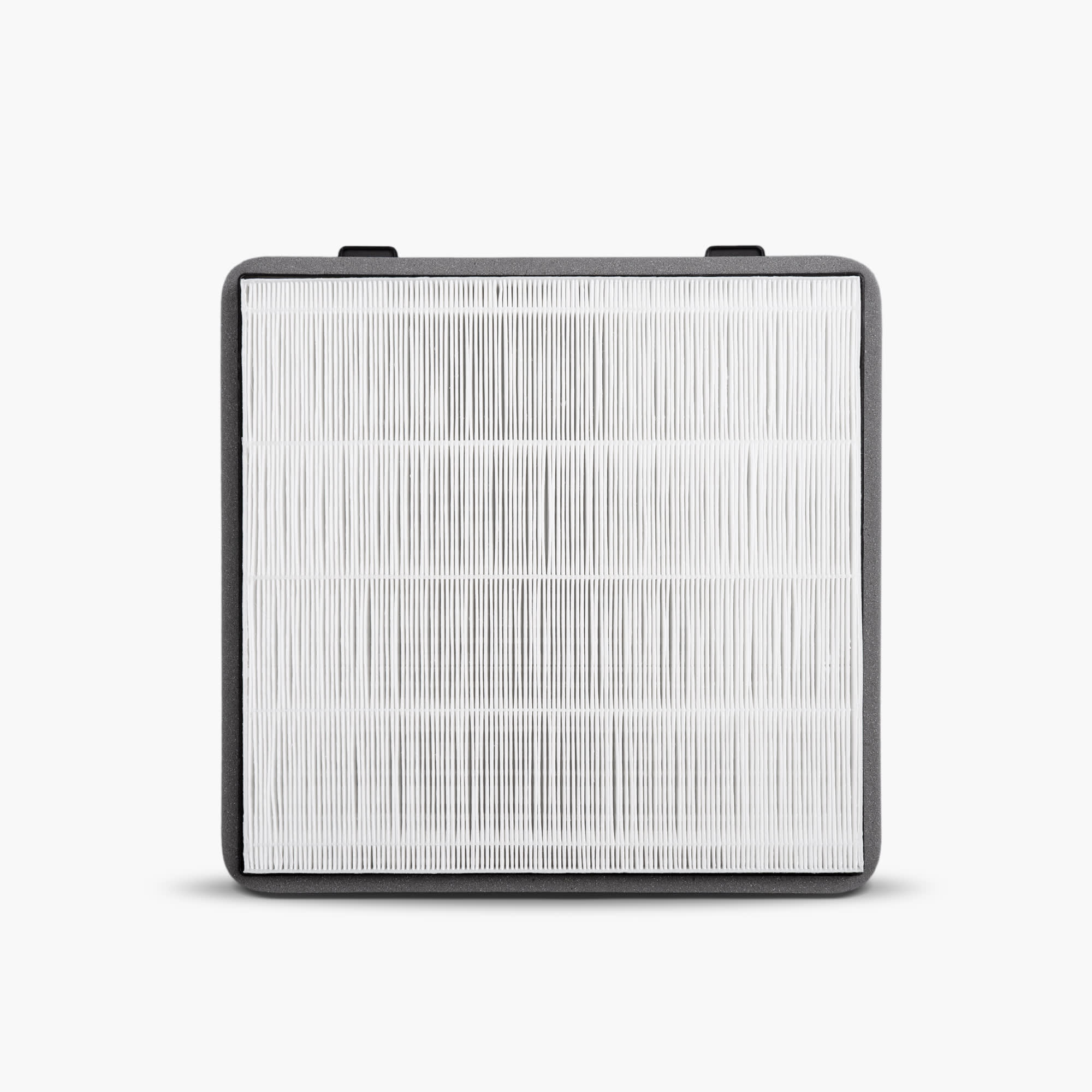 Cybertruck HEPA Filter