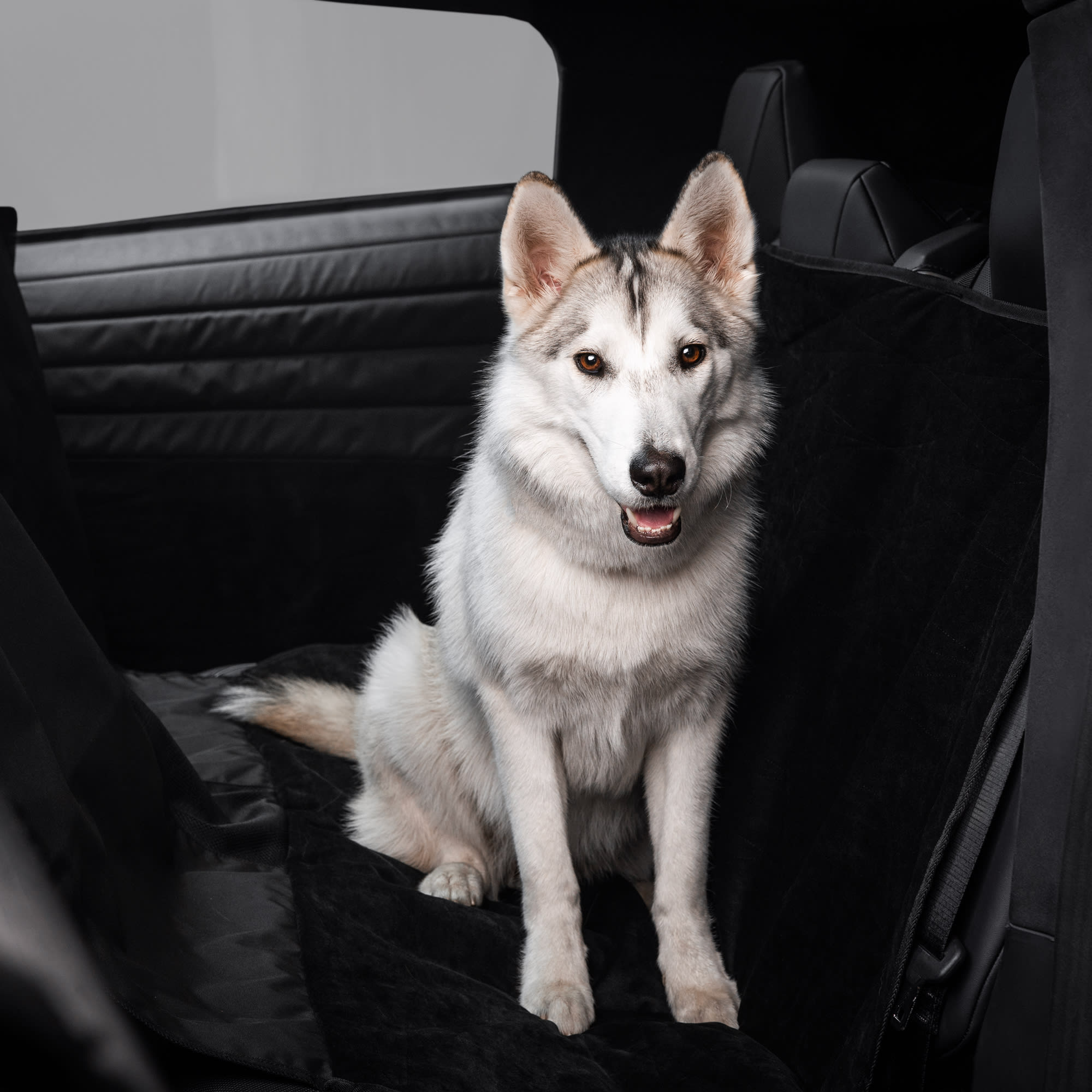 Doublure pour animaux de compagnie Cybertruck