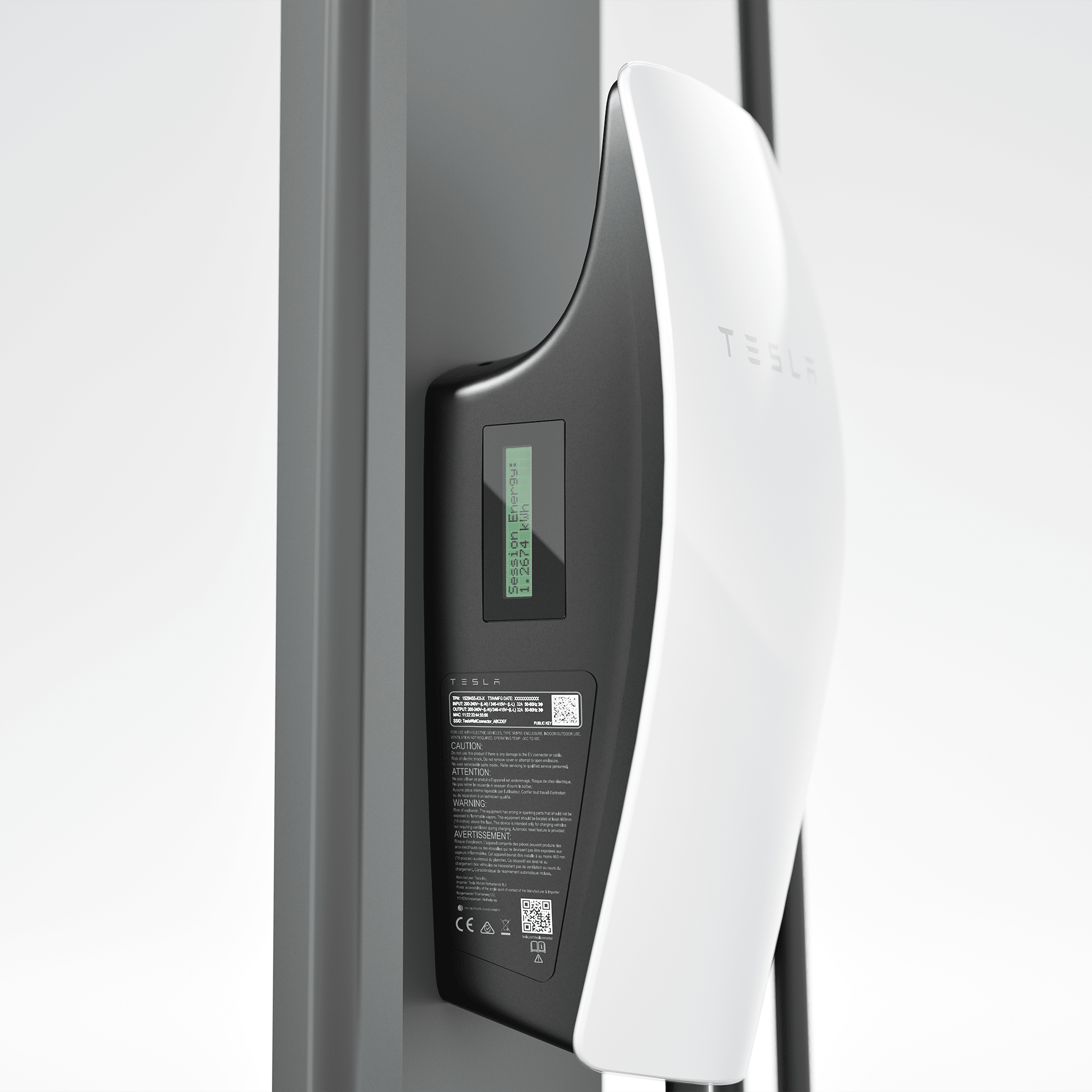 asset image