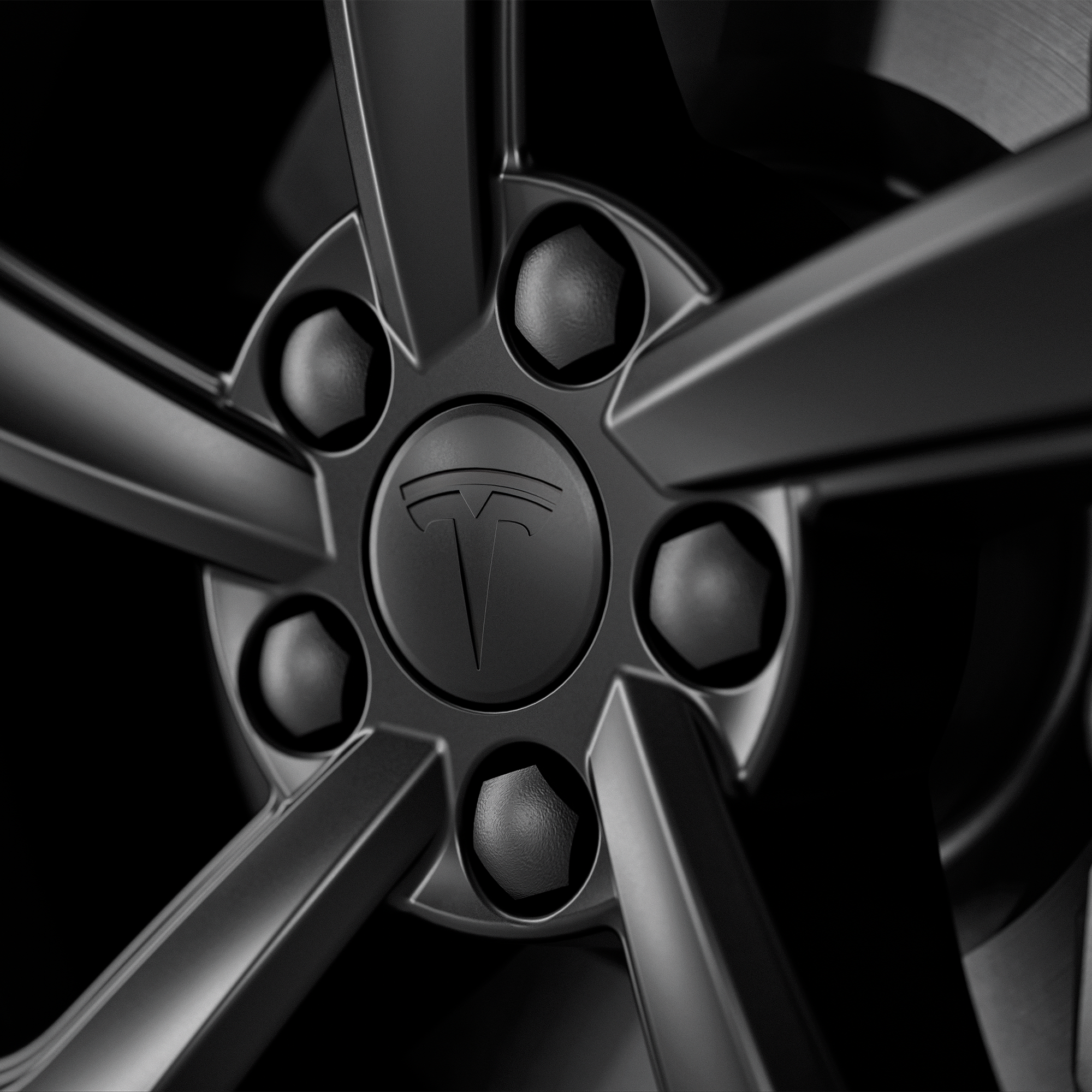 asset image