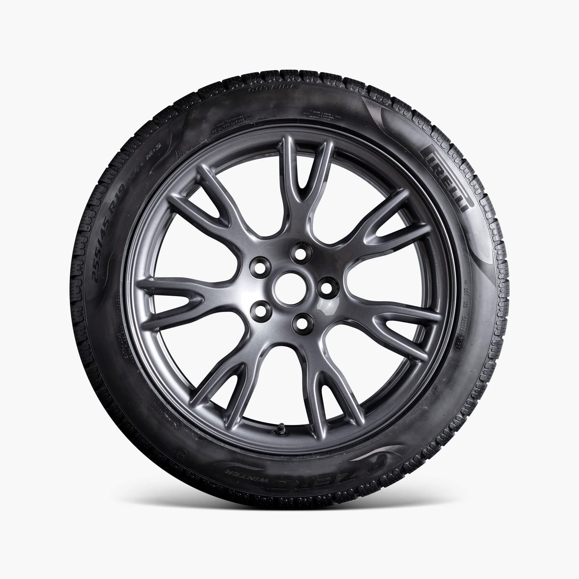 Model S 19" Tempest Wheel and Winter Tire Package