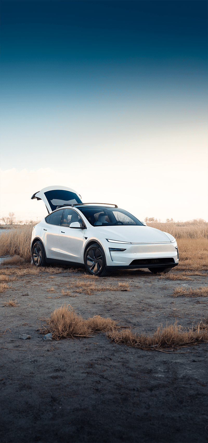 Model Y Accessories 