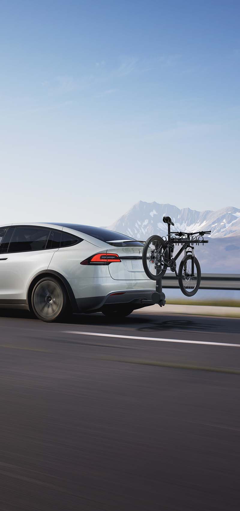 Model X accessories